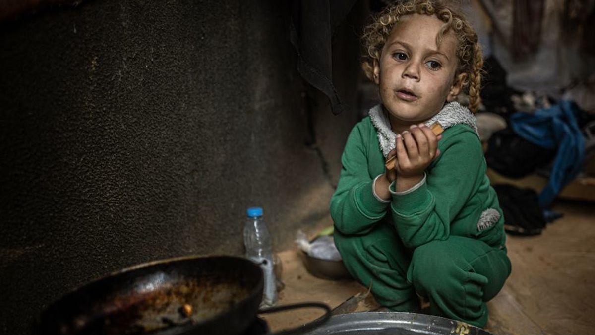 Irlandia Desak Israel Buka Blokade Pengiriman Bantuan ke Gaza
