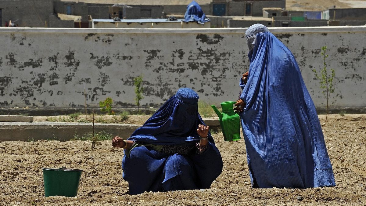  باكستان تدعو العالم إلى حماية حقوق المرأة الأفغانية
