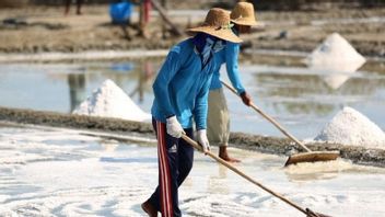 まだ中国などから塩を輸入そしてジョコウィは、生産は最大ではないと言います, 2025年の自給自足はナンセンスです