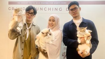 Celebrating Unbounded Love Between Humans And Animals