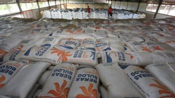 CBP Stock In Bulog Is Running Low, 1 Million Tons Of Rice Targeted By The End Of The Year Cannot Be Achieved