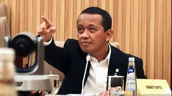 Bahlil Wacanakan Stop Ekspor Timah, Dorong Investor Masuk Hilirisasi