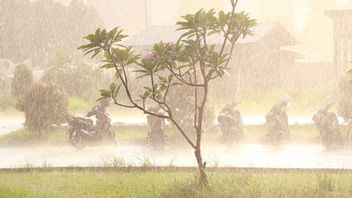 Cuaca Bali Hari Ini 10 September: Waspada Hujan Lebat dan Angin Kencang di Sejumlah Daerah 