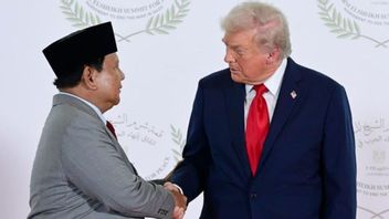 Prabowo Akui Masuk Board of Peace Donald Trump untuk Kemerdekaan Palestina