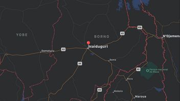 explosion d'un café de Borno au Nigeria : 16 morts