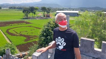 Ganjar Pranowo Kasih Rp1 Miliar Tiap Kabupaten untuk Kembangkan UMKM