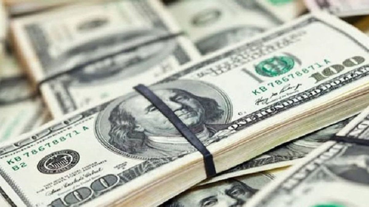 Cadangan Devisa Januari 2025 Capai 156,1 Miliar Dolar AS, Ditopang Utang Pemerintah dan Penerimaan Pajak