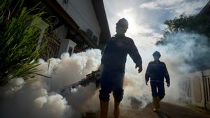 907 cas jusqu’en mai 2024, la DENGUE dans le bricolage est deux fois plus importante que la même période 2023