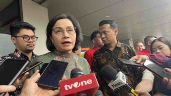 Belum Tahu Kapan Diterapkan, Menkeu Sebut Terus Siapkan Sisi Peraturan dan Regulasi Pajak Karbon