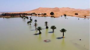 Pertama Kalinya dalam 50 Tahun, Gurun Sahara di Maroko Tiba-Tiba Dilanda Banjir