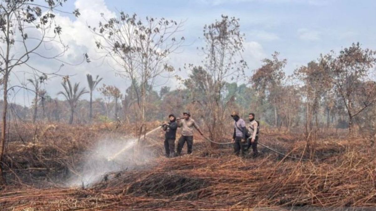 Sepanjang Tahun Ini, BPBD Damkar Catat Karhutla di Riau 59 Hektare Tersebar di 10 Wilayah