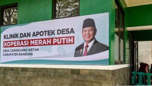 Target Bisnis Koperasi Merah Putih, Salah Satunya Usaha Logistik