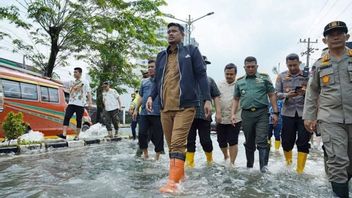 棉兰继续被洪水困扰，BNPB透露，流域森林中有5.6%是鲍比·纳苏蒂夫必须注意的