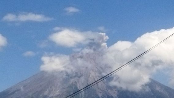 Gunung Semeru Kembali Erupsi dengan Kolom Letusan Setinggi 500 Meter