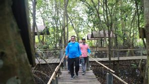 Kabar Gembira untuk Tempat Wisata di Kepri, Pemprov Siapkan Rp2 Miliar untuk Promosi Gaet Wisatawan Mancanegara