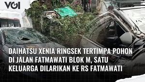 VIDEO: Daihatsu Xenia Ringsek Tertimpa Pohon di Jalan Fatmawati, Satu Keluarga Dilarikan ke RS Fatmawati