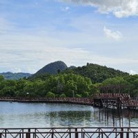 Pemprov Papua Genjot Ekowisata, Jaga Hutan Sambil Dongkrak Ekonomi Warga
