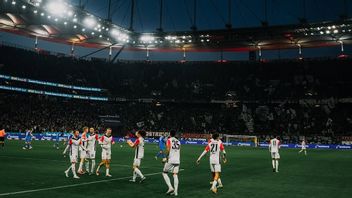 Two Injured After Spectators Fall From The Tribune In Bundesliga Match