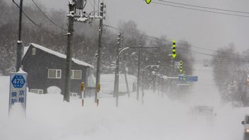  Salju Lebat Landa Jepang Utara: 140 Jadwal Penerbangan Dibatalkan, 970 Perjalanan Kereta Dihentikan