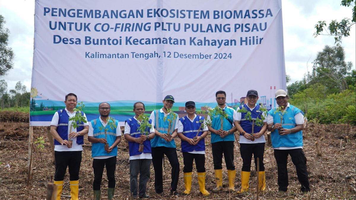 PLN EPI Manages Gamal Plants For Cofiring PLTU Pulang Pisau Central Kalimantan