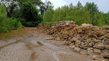 Abrasion In The North Penajam Paser Coastal Area Is Increasingly Worrying, The Regency Government Asks For Central Assistance