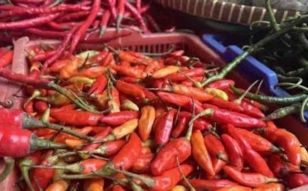 Harga Pangan Sabtu Pagi, Cabai Rawit Merah Jadi Rp40.430 per Kg