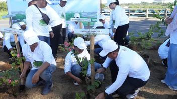 Peringati Hari Lingkungan Hidup Sedunia, Pelindo Tanam 40 Ribu Pohon Secara Serentak