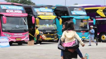 Ministry Of Transportation Prepares 722 Buses For Free Homecoming Participants 2024