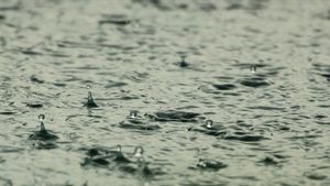 Prakiraan Cuaca BMKG: Beberapa Wilayah Jakarta Diguyur Hujan Selasa 26 Oktober