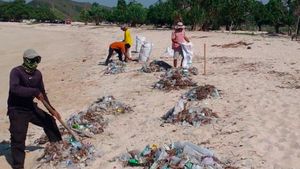 ITDC Kumpulkan 7,2 Ton Sampah dari Kawasan Pantai Tanjung Aan Mandalika