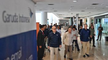 鹰航加强纳塔鲁准备,降低经济关税和新任董事开始活跃
