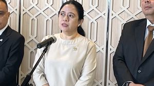 Puan Pastikan DPR Bakal Segera Kaji Polemik Utang Whoosh dengan Pemerintah