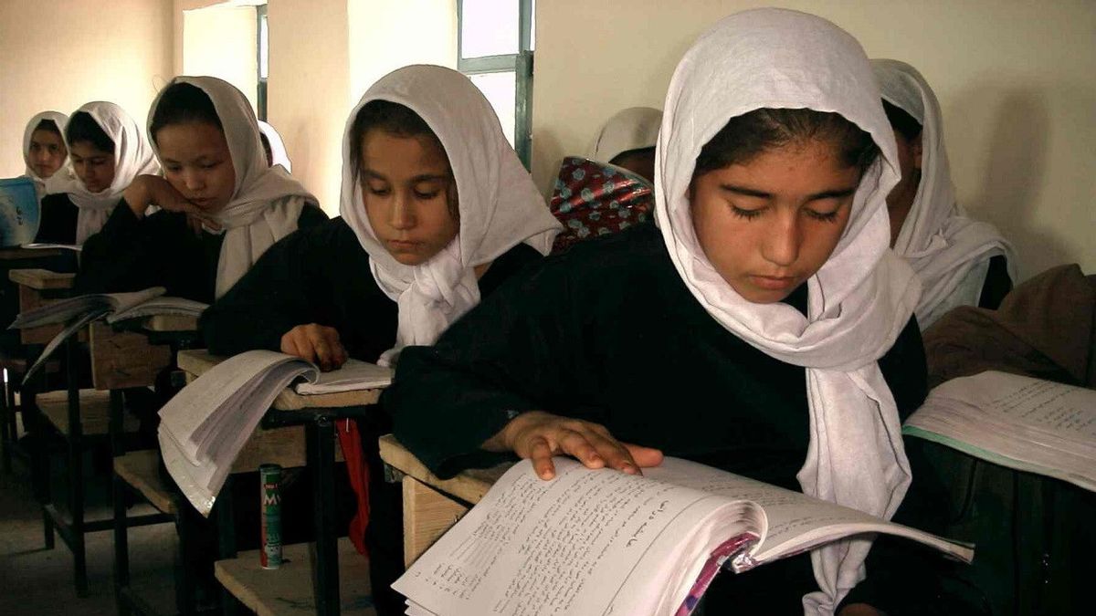 20 Universitas Inggris Tawarkan Kursus Gratis Bagi Wanita Afghanistan, Sampai Taliban Cabut Larangan Belajar