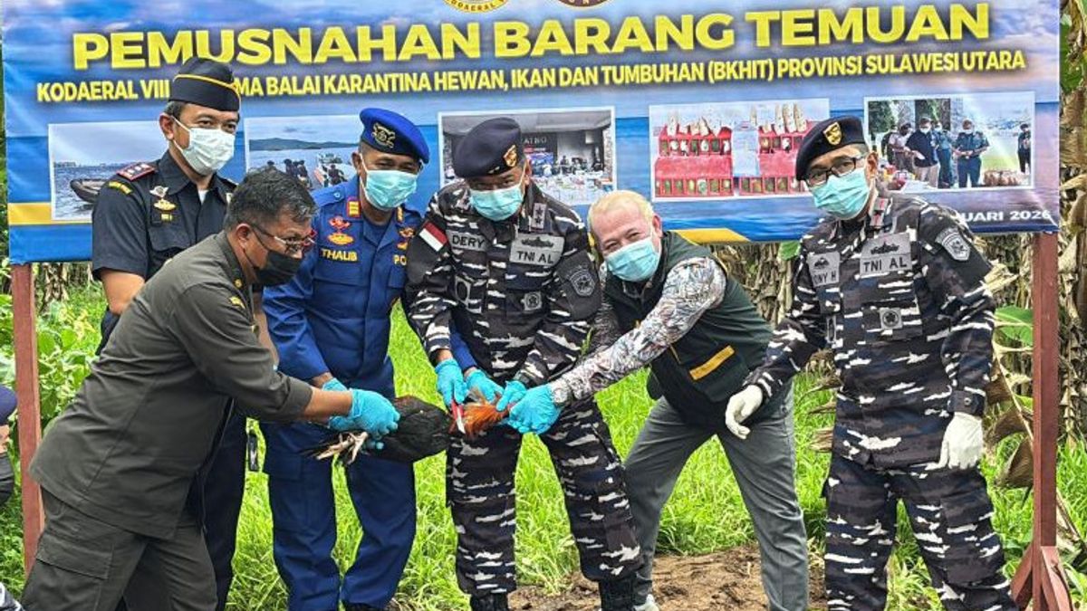 Balai Karantina Musnahkan 218 Ayam Ras Filipina Terjangkit Flu Burung