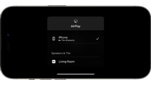 使用AirPlay功能将视频从iPhone流式传输到电视或Mac