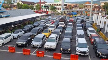 2025年纳塔鲁凯塔邦港口过境规则