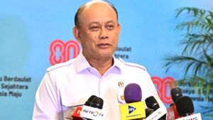 Hasil Program MBG, Bos BGN Klaim Dongkrak Kehadiran Siswa dan Pacu IQ Naik