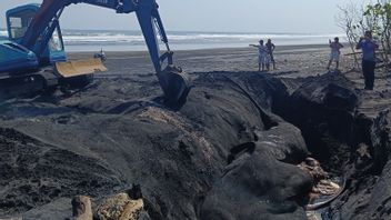悲しい!バリ島のジェンブラナで立ち往生している死んだクジラの頭の中には、たくさんの食品プラスチック廃棄物があります
