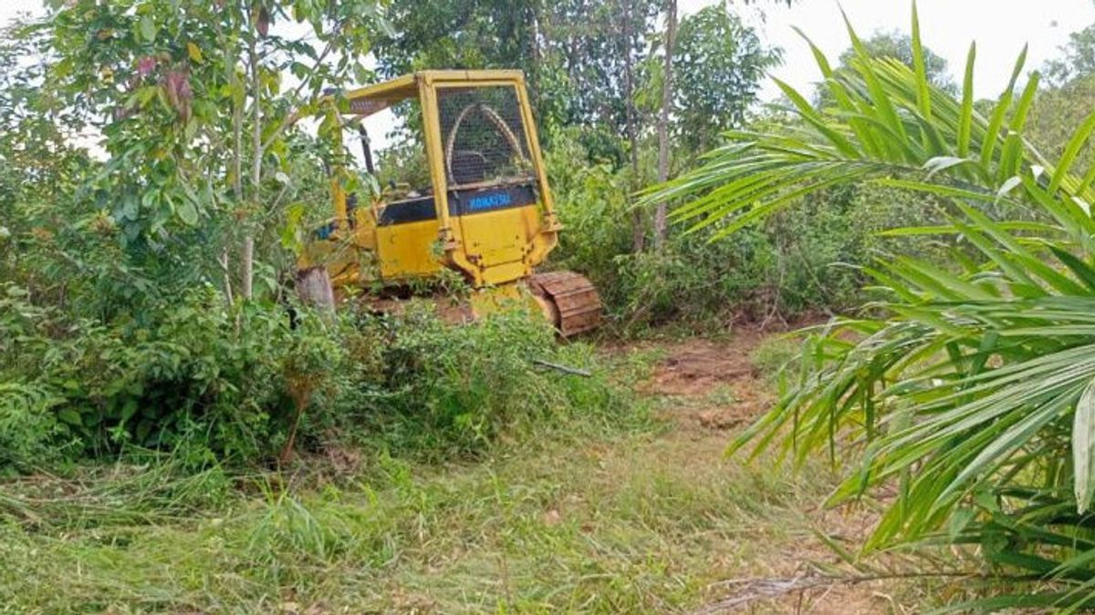 Worried That The Perpetrators Of The Addition Of The Mukomuko Water Production Forest Escaped, KPH Asked The Ministry Of Environment And Forestry And The Police To Take Action