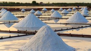 Proses Pembuatan Garam: Metode, Tahapan, dan Sumber Produksinya