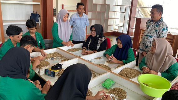 Le ministère de Perangin encourage le développement de l’industrie de la transformation du café dans le sud de Sulawesi grâce à ce programme