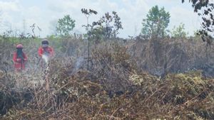 2 Kecamatan di Singkawang Kalbar Dilanda Karhutla, Petugas Alami Kesulitan Pemadaman