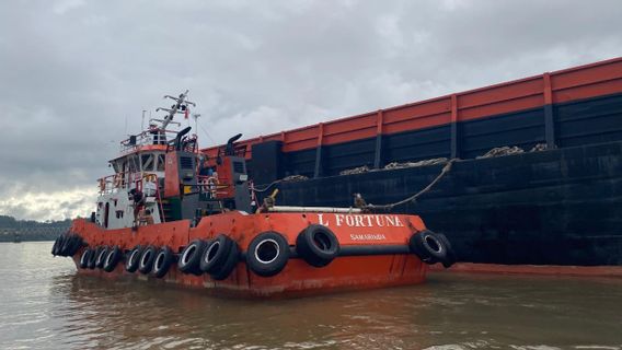 Kapten Ceroboh, Jembatan Sei Kayan Ditabrak Tongkang Lius Emas, Ini Langkah Pemkab Bulungan