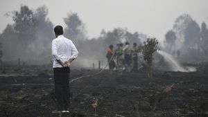 Ramalan Jokowi <i>The Winter Is Coming</i> jadi Kenyataan: Pandemi dan Krisis Energi Eropa