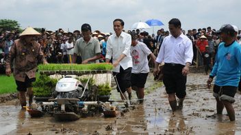 佐科威印度尼西亚的承诺在今天的记忆中不会进口大米,2015年3月6日