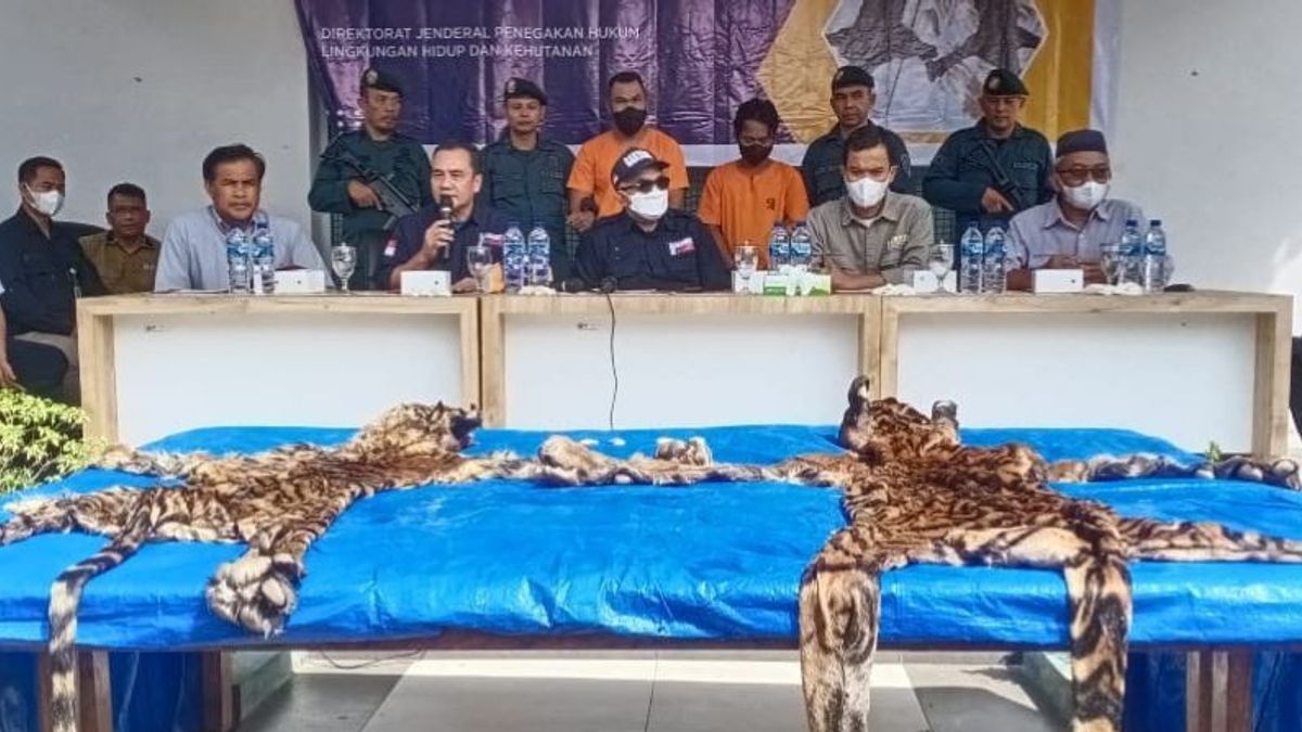 2 Tiger Skin Sellers In Pelalawan Arrested