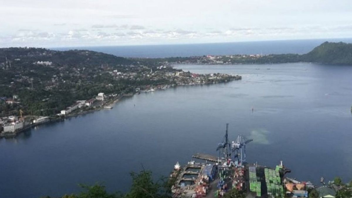 RI-AS Cooperation Increases The Capacity Of Papua Special Autonomy Fund Planning