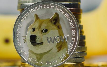 Transaksi Dogecoin Melonjak Berkat Hadirnya Standar Token DRC-20