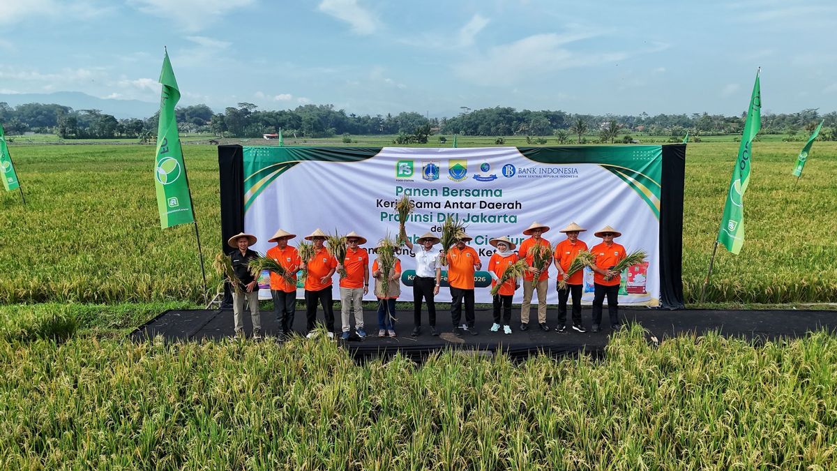 Jakarta a besoin de 3 000 tonnes de riz par jour, le gouvernement de la province de DKI s'associe à Cianjur pour assurer l'approvisionnement