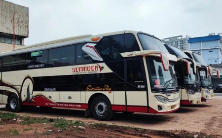 PO Bus Ini Setuju Adanya Larangan Klakson Telolet: Kami Utamakan Penumpang Lansia yang Terganggu